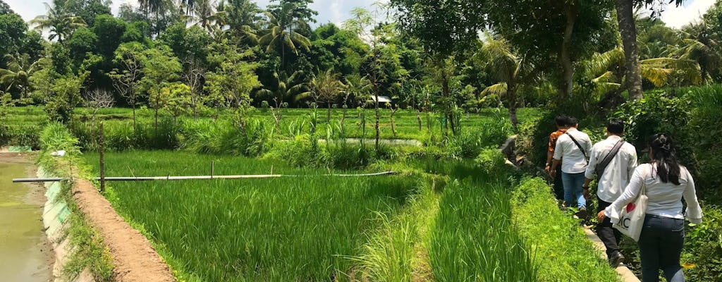 Lombok Countryside Experience z Lombok