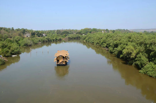Goa Overnight Houseboat Cruise on the Backwaters of Aldona River