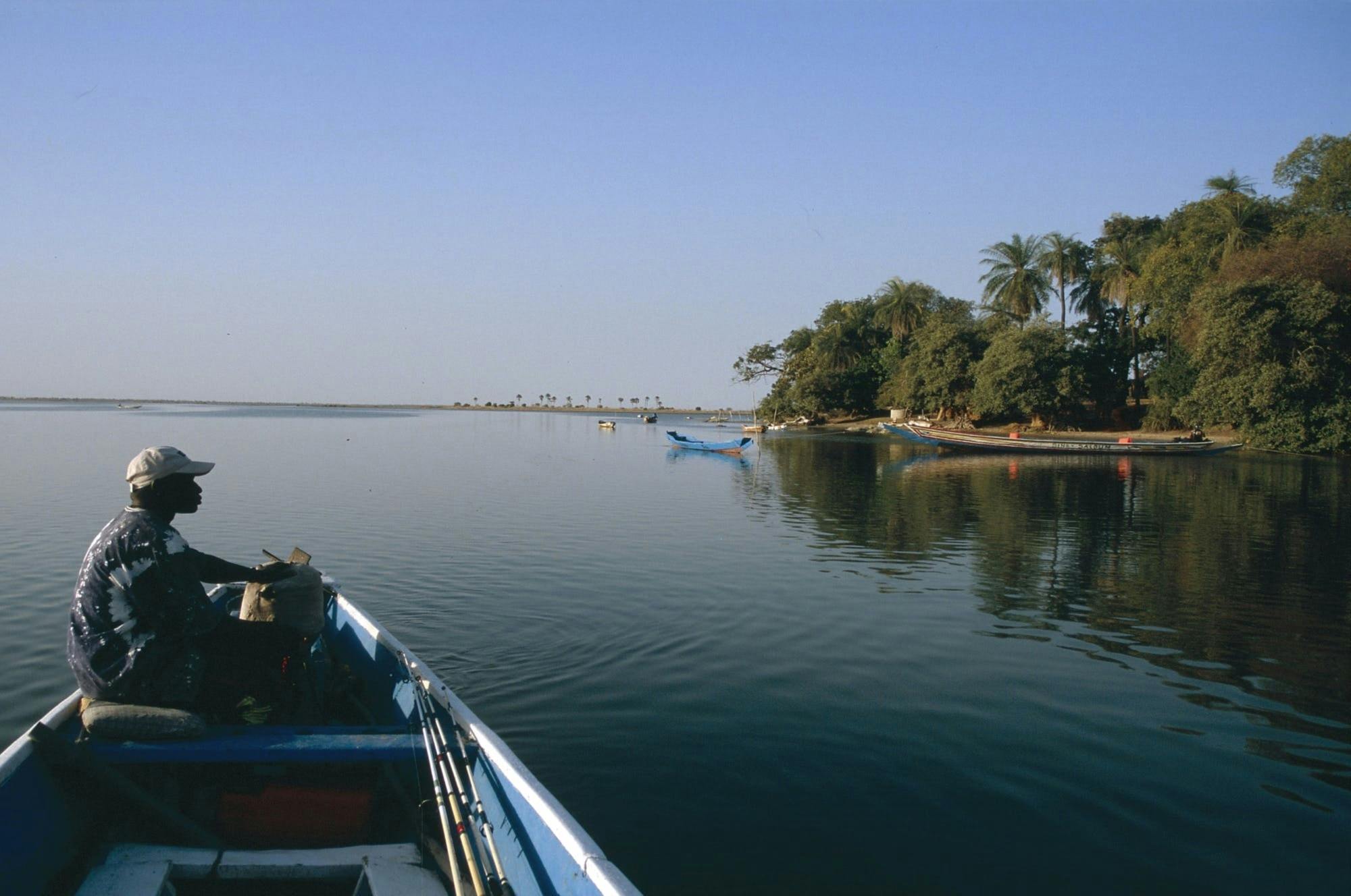 Visita guiada a Bush e ao Delta do Saloum a partir de Somone com passeio de barco e almoço