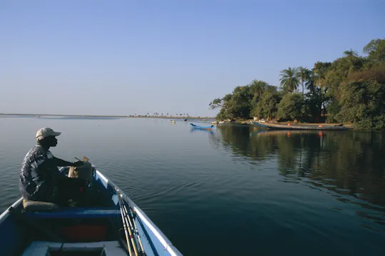 Bush en Saloum Delta rondleiding vanuit Somone met boottocht en lunch