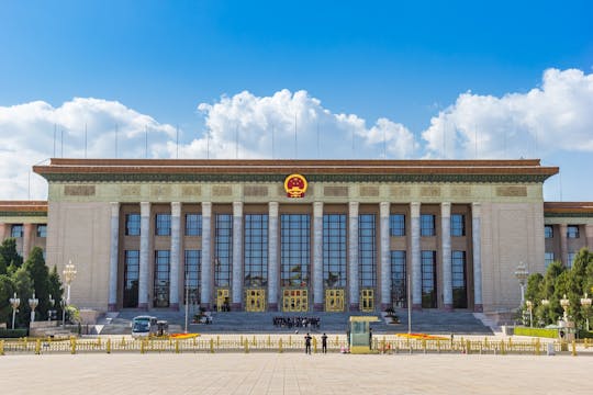 Tour guidato privato a piedi di Piazza Tian'anmen e della Città Proibita