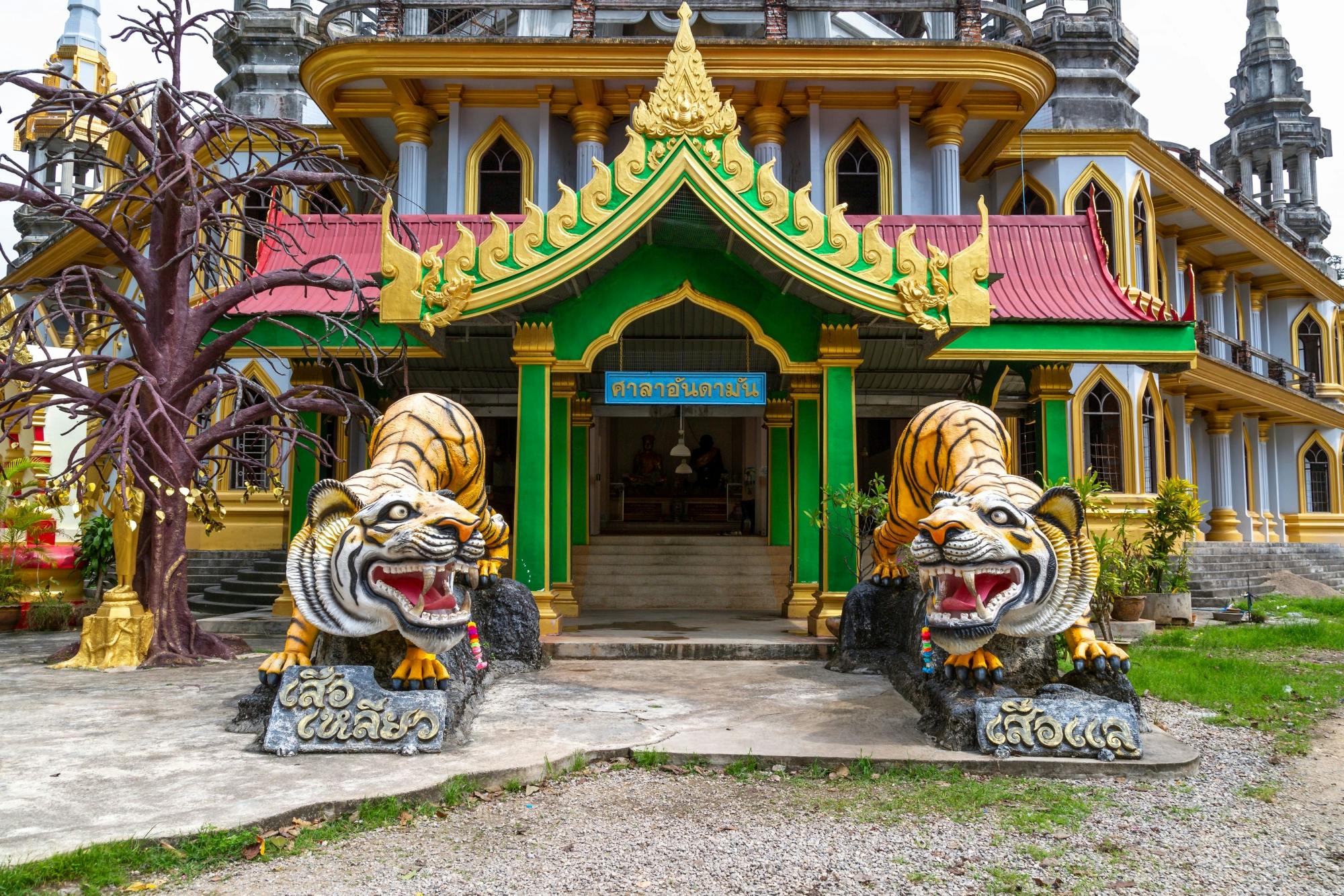 Jungle Tour with Tiger Temple from Ko Lanta