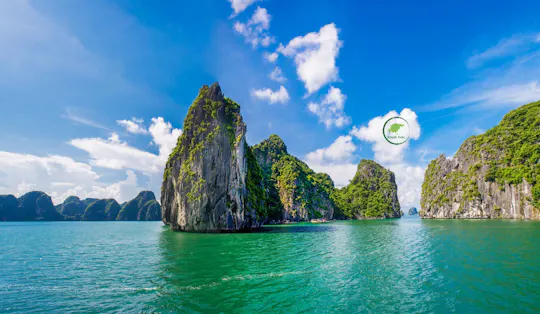 Viagem de dia inteiro à Baía de Halong saindo de Hanói com cruzeiro e almoço
