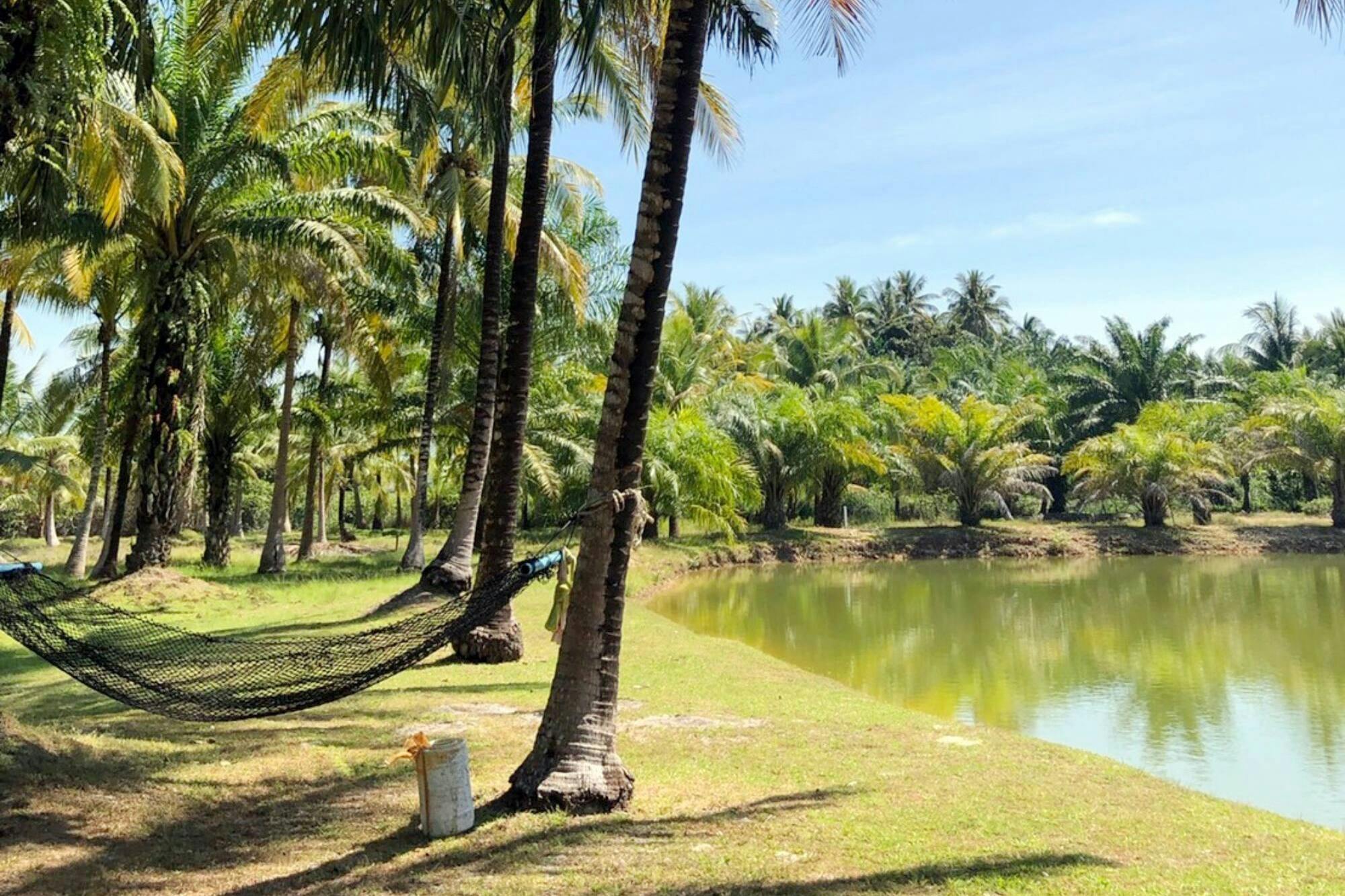 Ko Lanta Village Visit with Boat Trip & Cooking Lesson