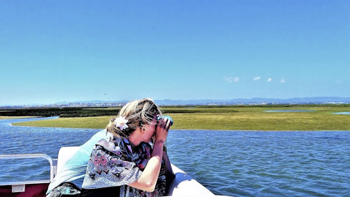 Paseo en barco por la naturaleza y observación de aves de la Ría Formosa