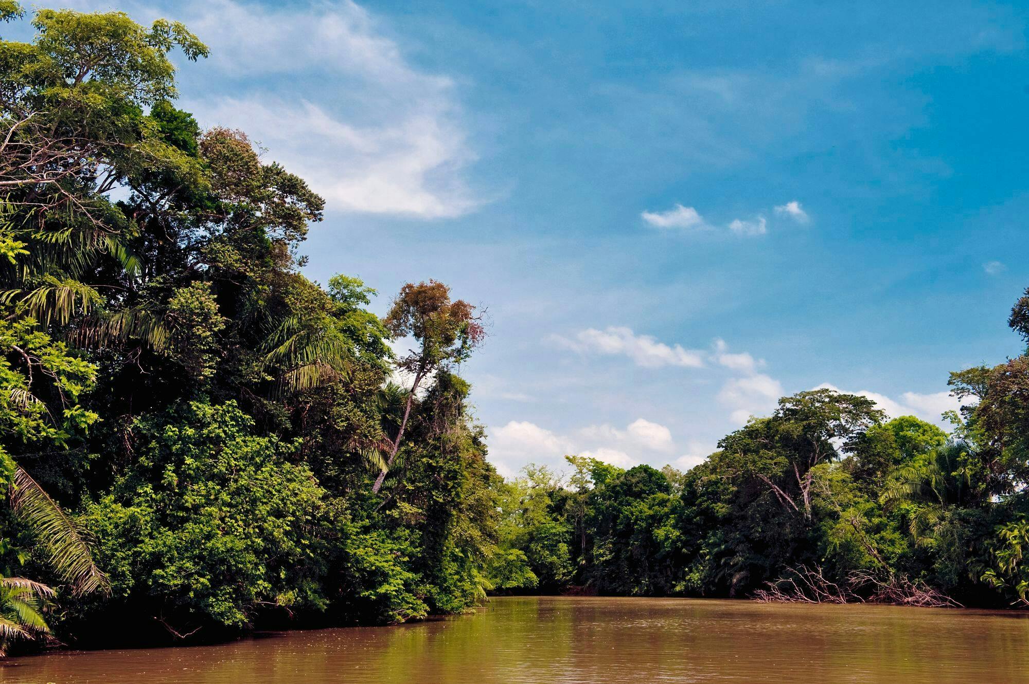 Caño Negro Tour &amp; Río Frío Wildlife Safari mit dem Boot