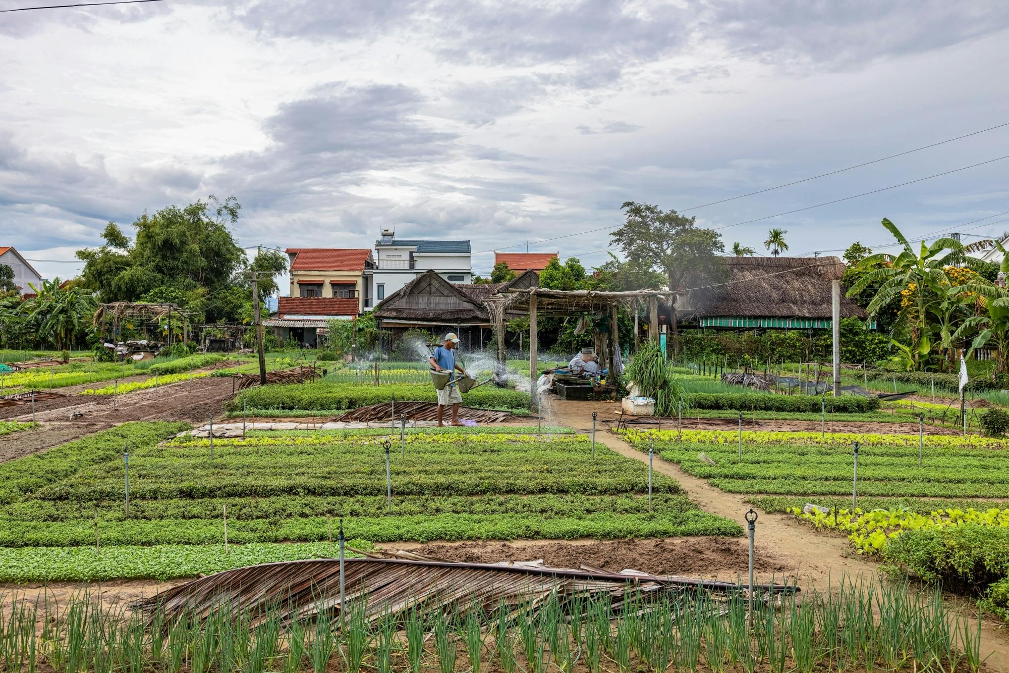 Excursão de bicicleta de meio dia à vila vegetal Tra Que saindo de Hoi An