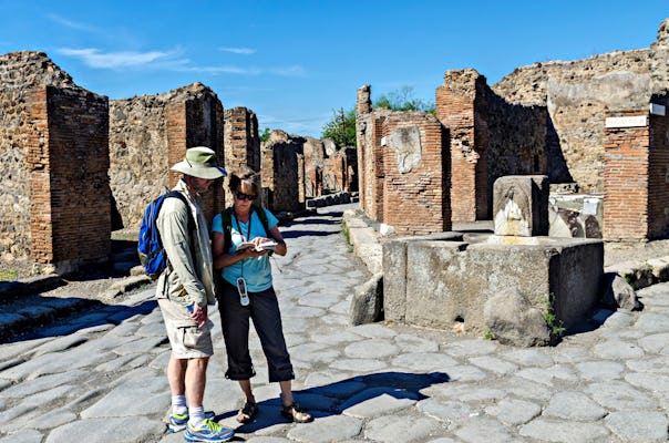 Wycieczka do Pompejów z Neapolu