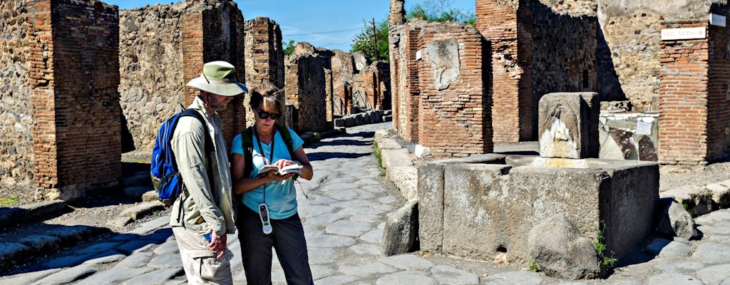 Pompeii-tour vanuit Napels