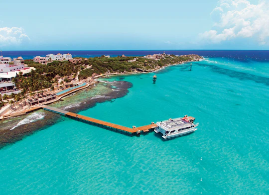 Garrafon Natural Reef Park and Dolphin Encounter Experience ticket
