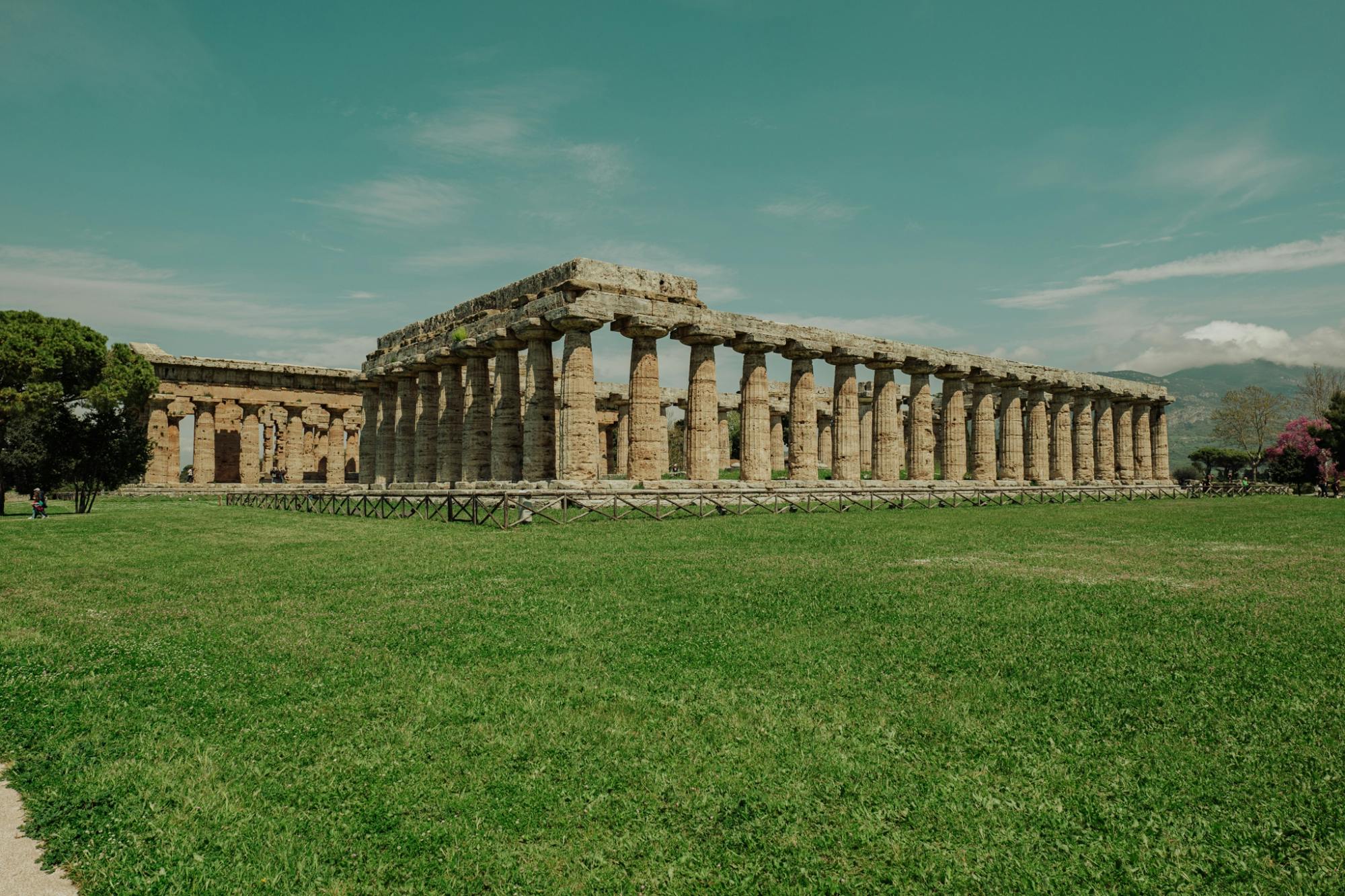 Excursão para grupos pequenos sem filas em Paestum com um arqueólogo