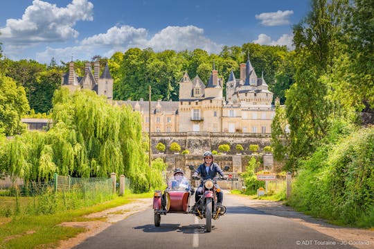 Tour di mezza giornata in sidecar della Valle della Loira da Tour