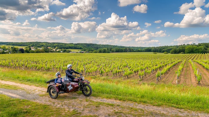 Całodniowa wycieczka motocyklem z wózkiem bocznym po Dolinie Loary z Tours
