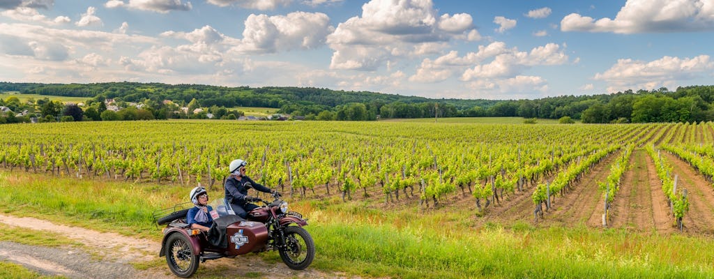 Całodniowa wycieczka motocyklem z wózkiem bocznym po Dolinie Loary z Tours