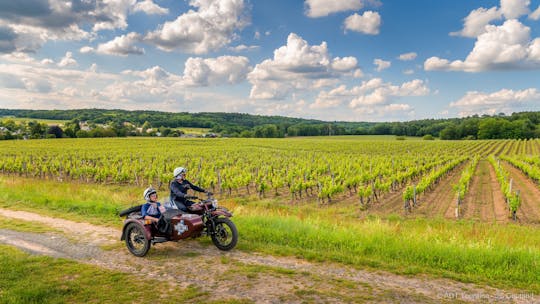 Full-day sidecar tour of the Loire Valley from Tours