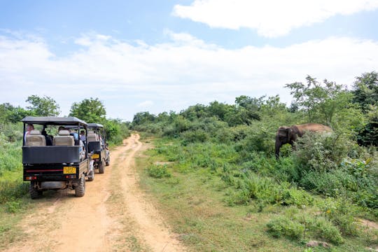 Safari i Udawalawe nationalpark, Ella och Nuwara Eliya tvådagarsutflykt