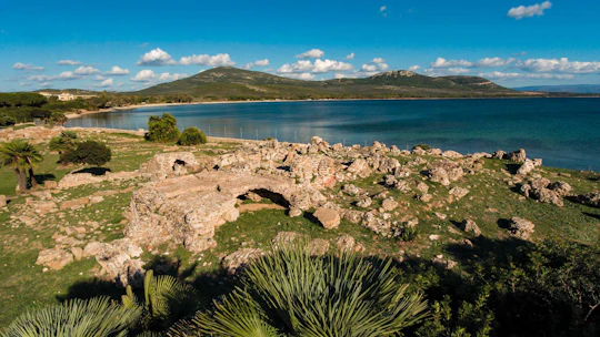 Alghero Porto Conte Park Eco-Museum Tickets