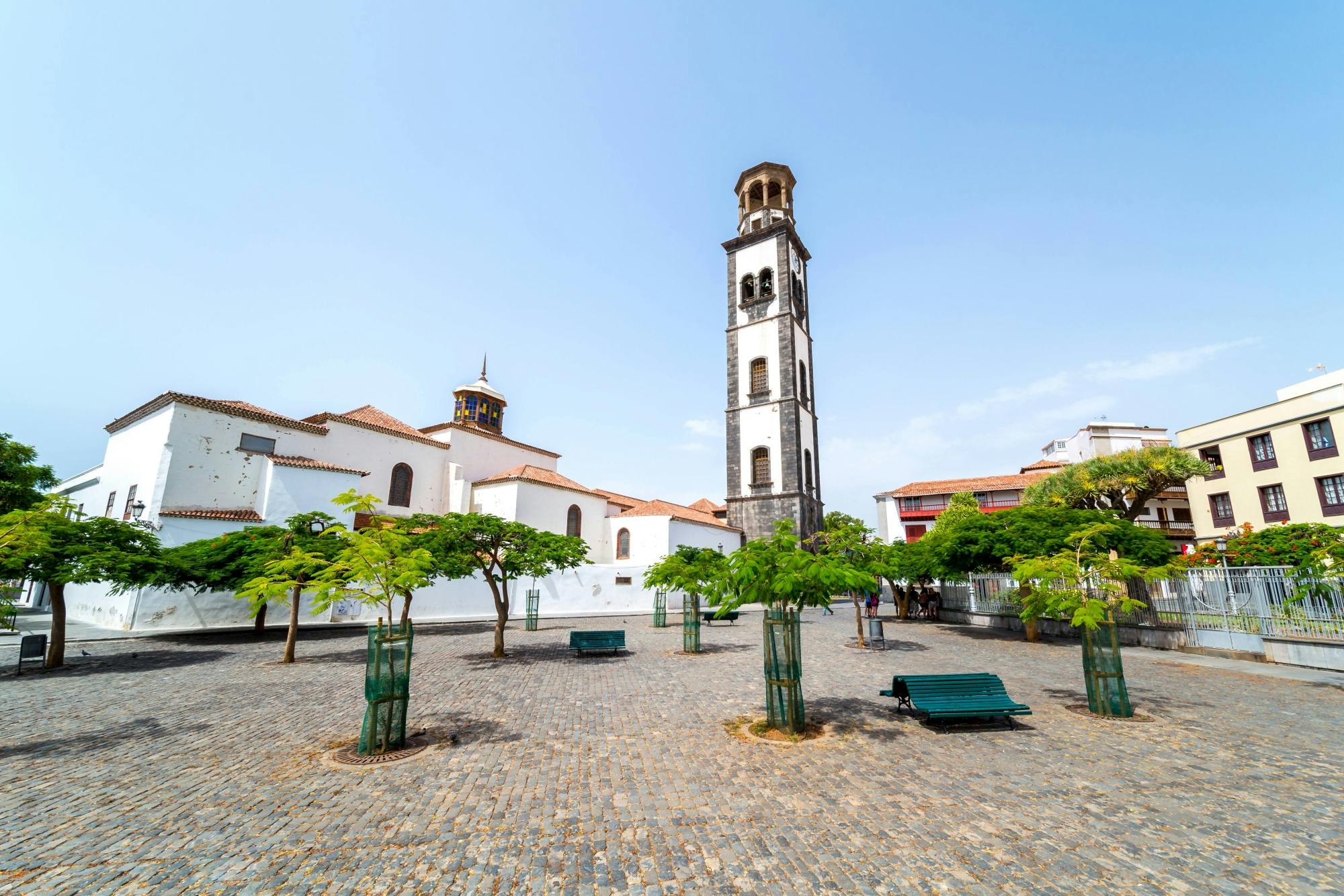 Santa Cruz de Tenerife Tour with Carnival Museum & Free Time