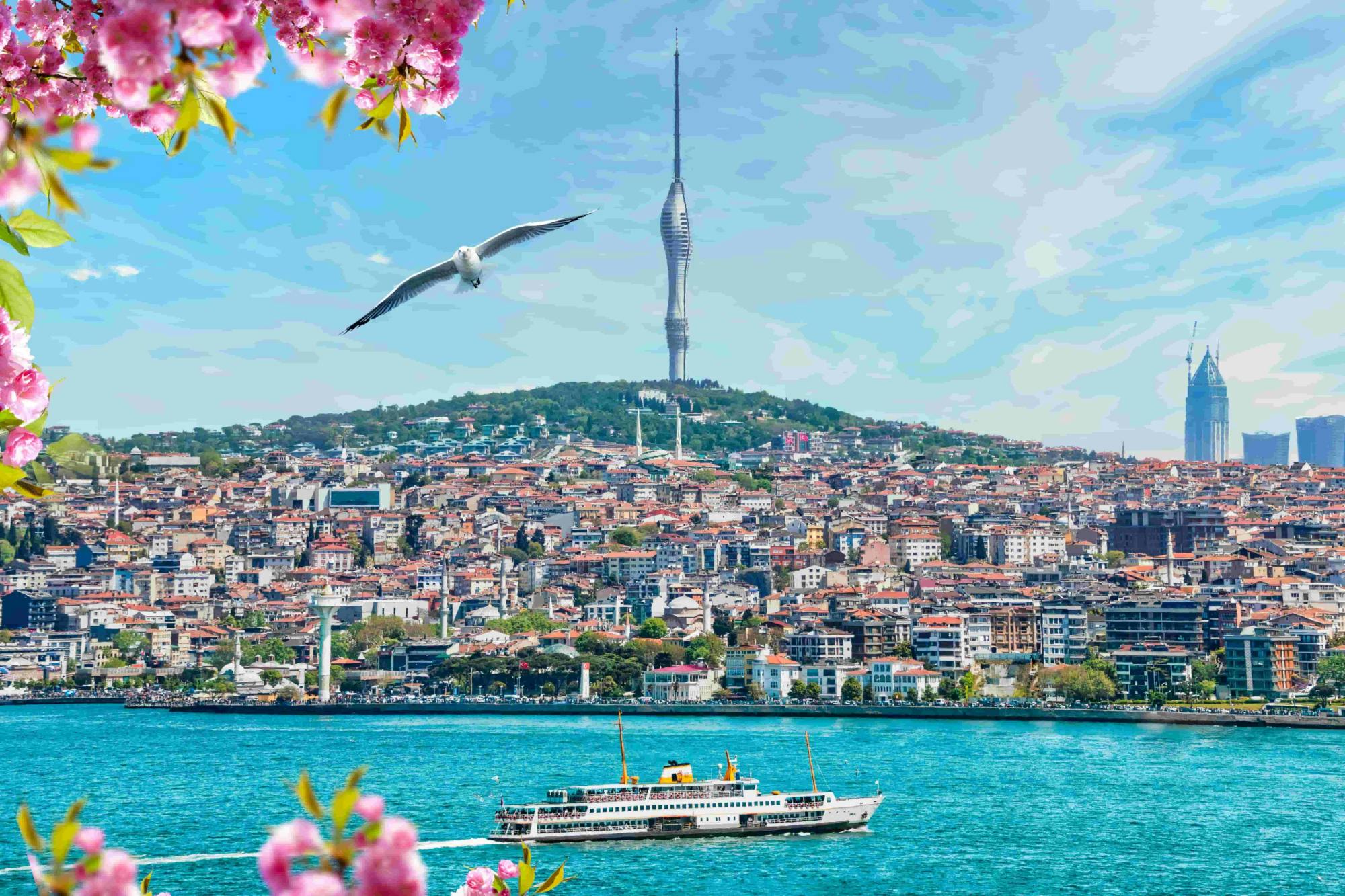 Eintrittskarte für den Camlica-Turm in Istanbul mit kostenlosem Tee oder türkischem Kaffee