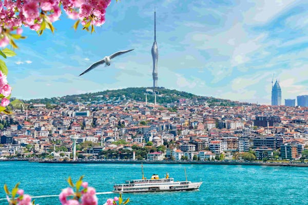 Bilhete de entrada para a Torre Camlica de Istambul com chá ou café turco grátis