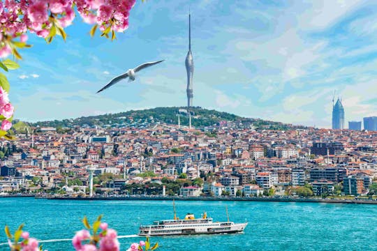 Bilet wstępu do wieży Camlica Tower w Stambule z bezpłatną herbatą lub kawą po turecku