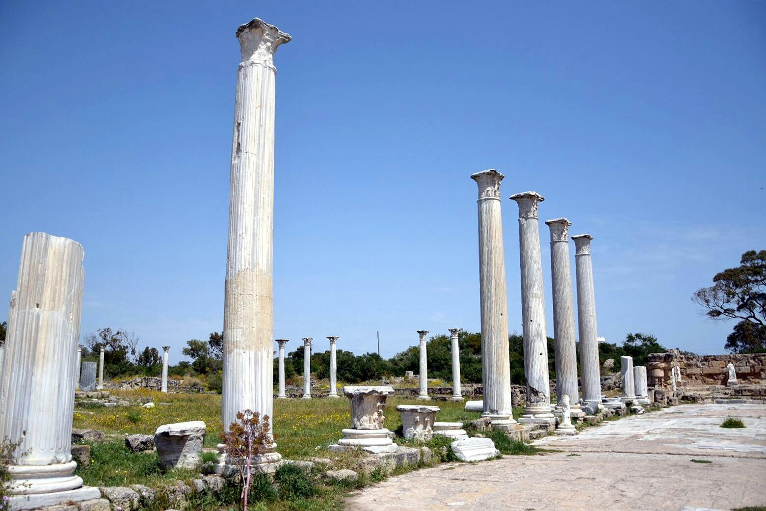 Famagusta and Salamis Full Day Tour with Lunch