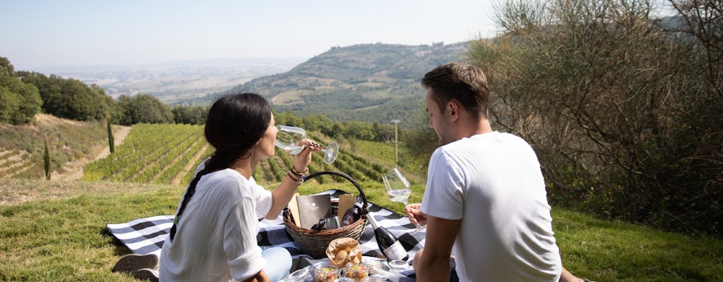 Piquenique com uma garrafa de vinho em Montalcino com tour opcional de vinhos