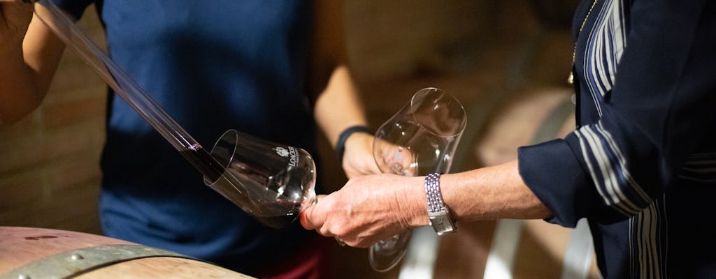 Brunello entre bastidores y degustación de vino y comida gourmet en Montalcino