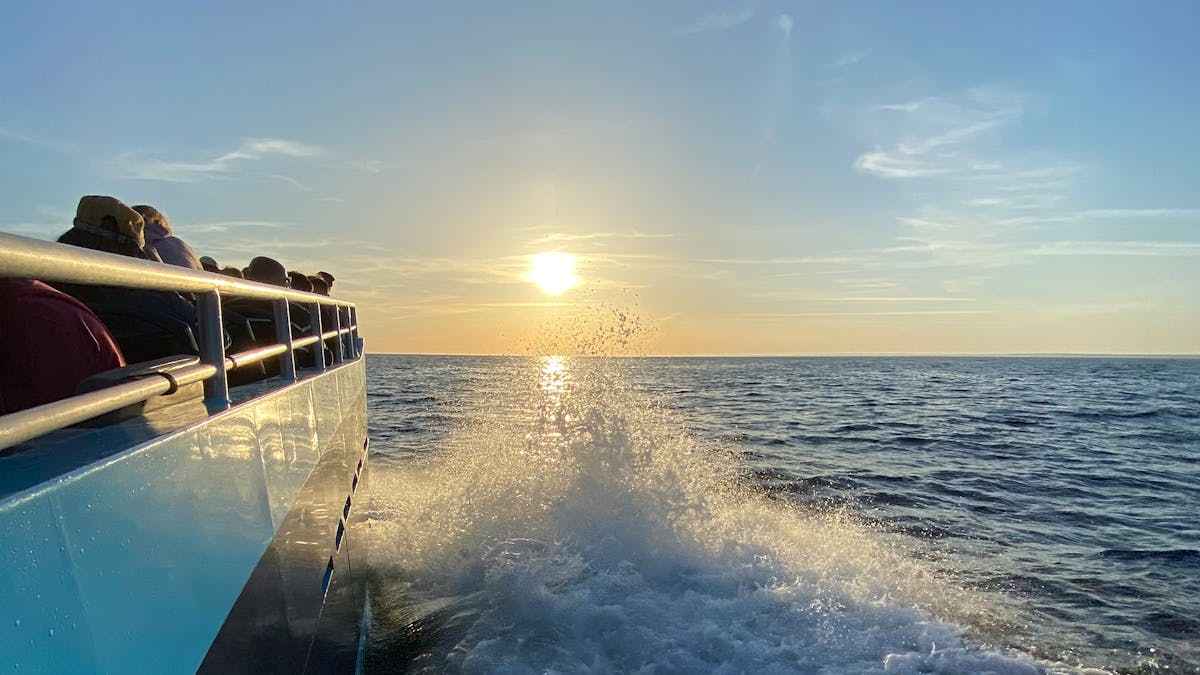 Benagil Grotten en Algarve kust rondleiding per boot