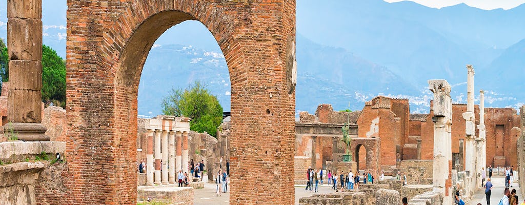 Pompeii and Herculaneum shared tour from Naples