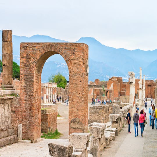 Pompeii, Herculaneum, and Mount Vesuvius Guided Tour From Naples