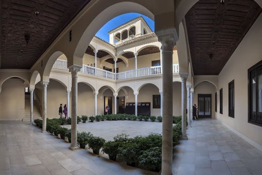 Museo Picasso Málaga toegangsbewijs