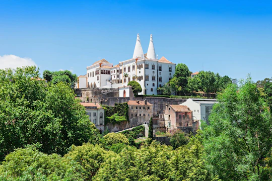 National Sintra Palace Entrance Ticket with Audio Guide