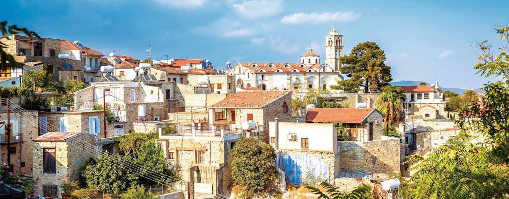 Tour del miele, del Lefkara e dell'intreccio di cesti tradizionali