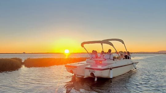 Ria Formosa no passeio de barco ao pôr do sol