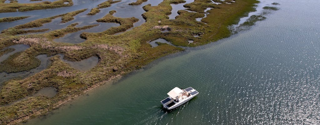 Excursion en bateau solaire écologique en Algarve sur la Ria Formosa au départ de Faro