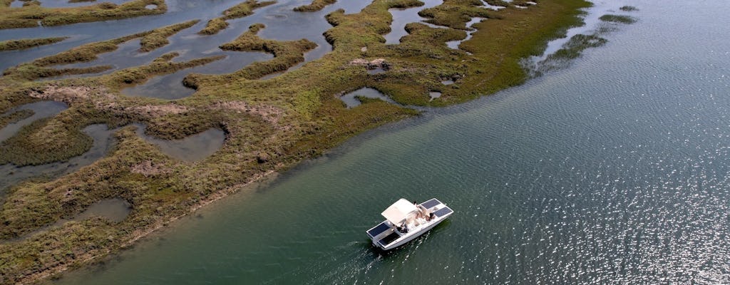 Gita in barca solare ecologica in Algarve a Ria Formosa da Faro