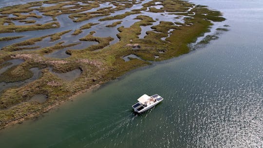 Eco-vriendelijke zonneboottocht in de Algarve in Ria Formosa vanuit Faro