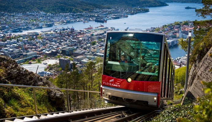 Bergen City Sightseeing with Bergen Fjord Cruise and Fløien Funicular
