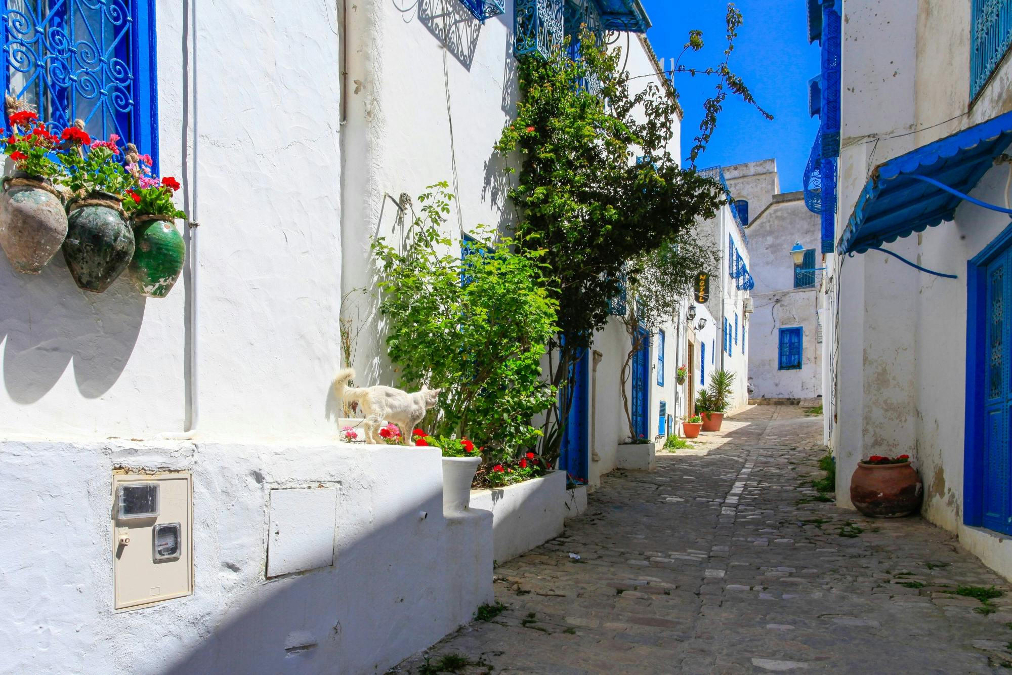 Carthage and Sidi Bou Said Tour