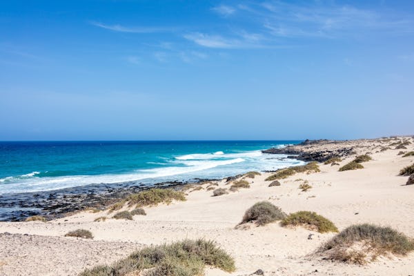 Visite de Fuerteventura et de l'île de Lobos avec temps libre