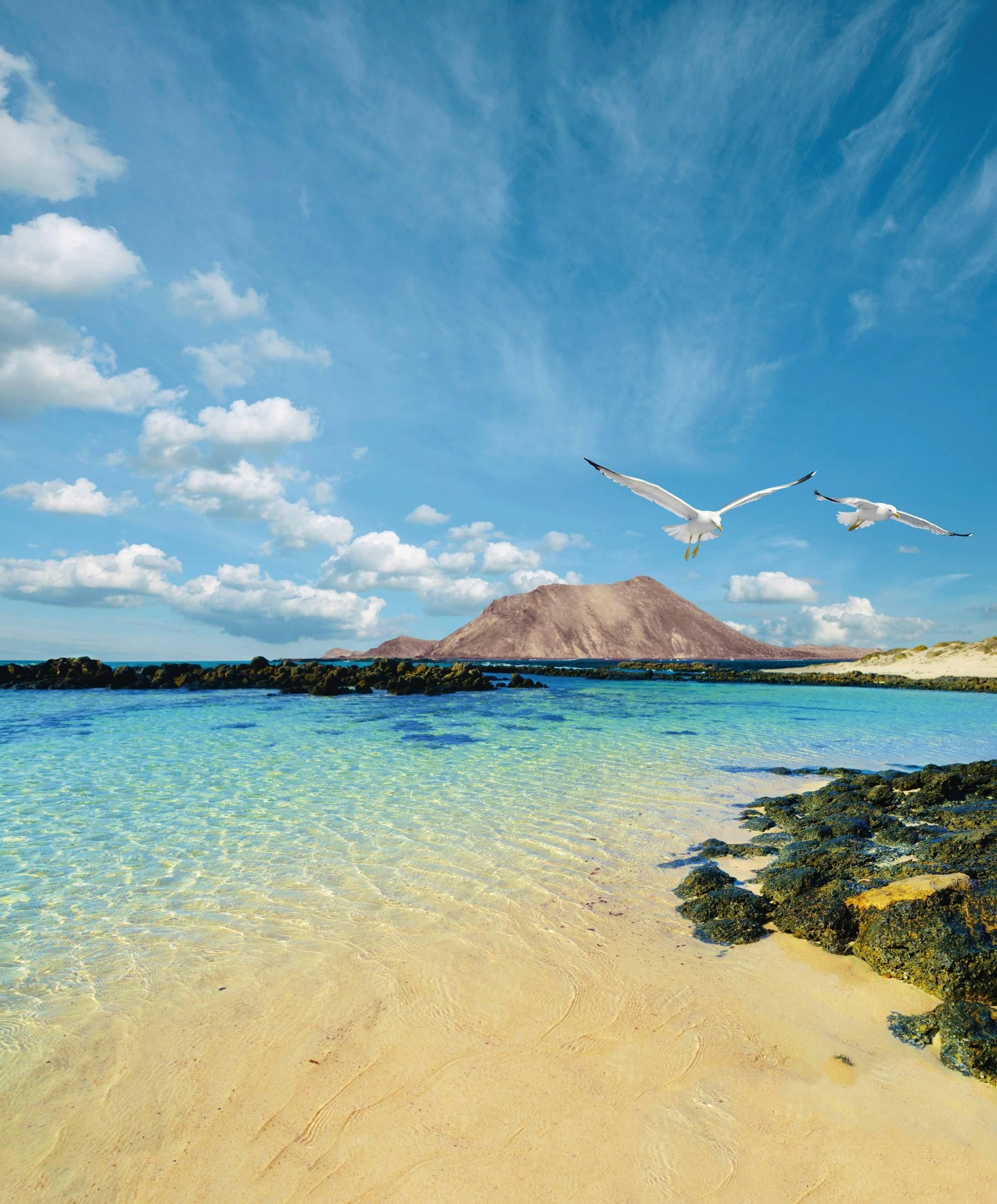 Fuerteventura & Lobos Island Tour with Free Time