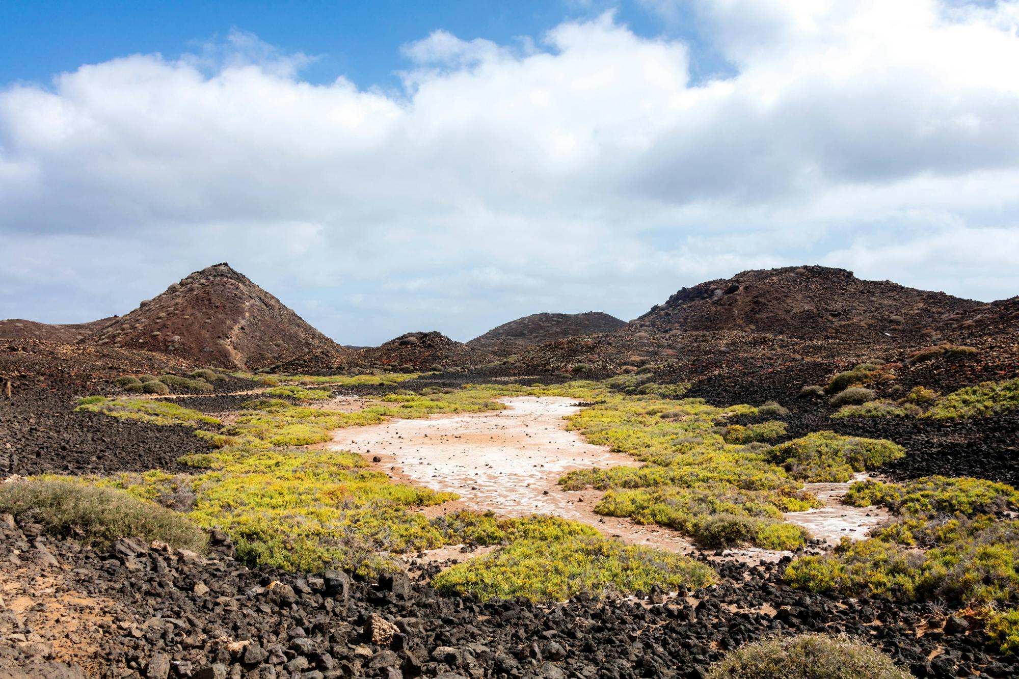 Fuerteventura & Lobos Island Tour with Free Time