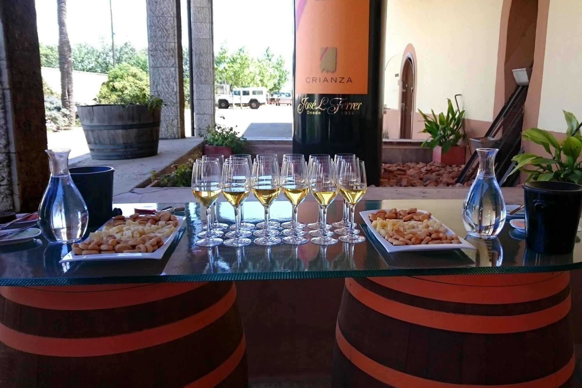 Bodega Jose L Ferrer Wine Tasting Tour