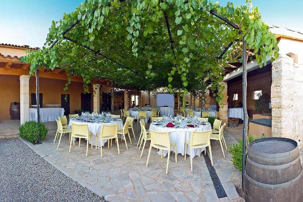 Bodega Jose L Ferrer Wine Tasting Tour