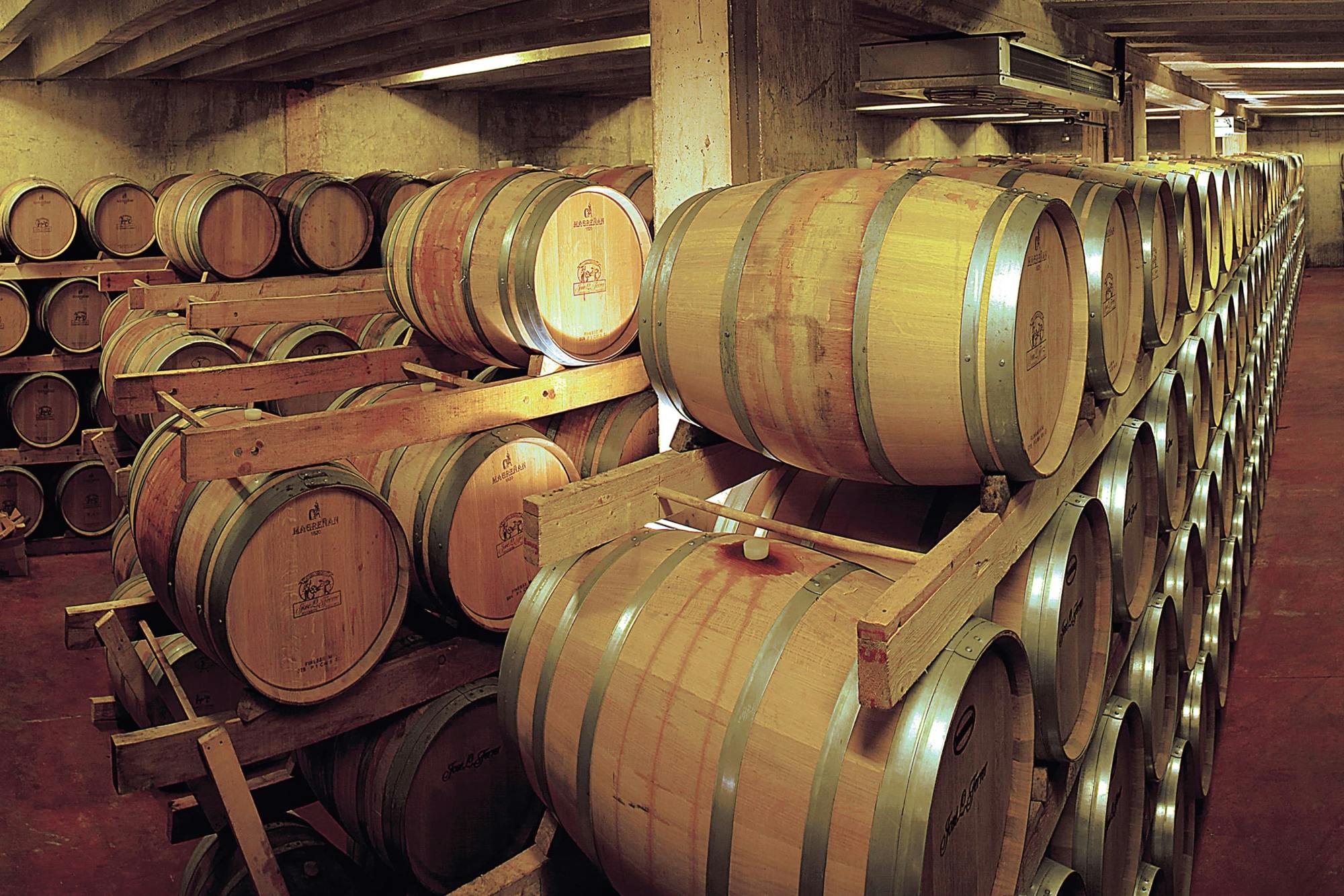 Bodega Jose L Ferrer Wine Tasting Tour