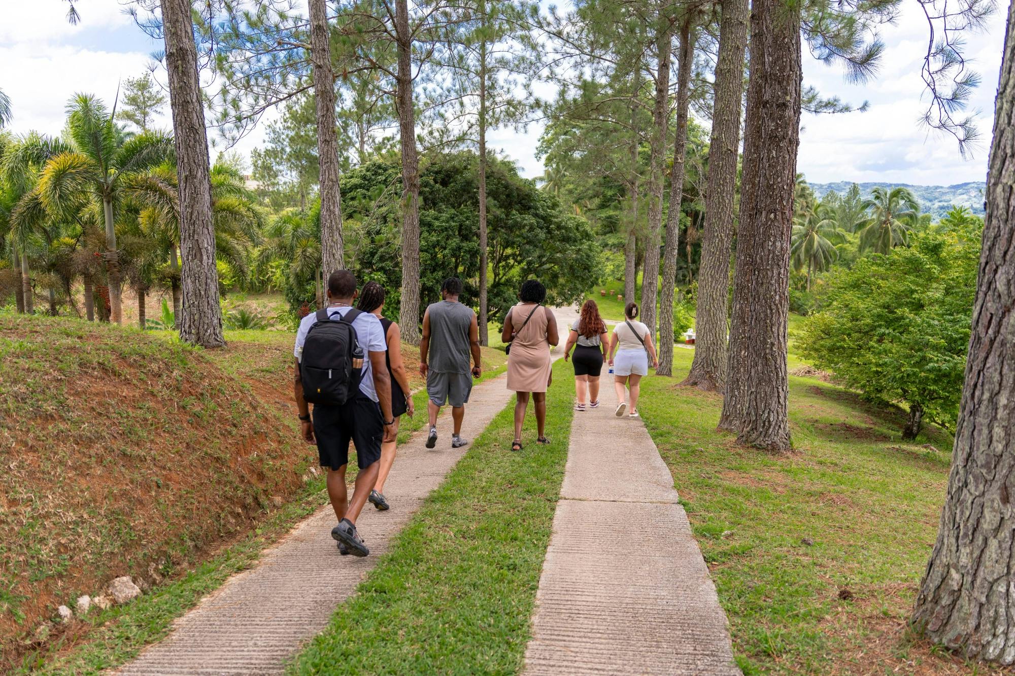 Croydon in the Mountains Nature Walk