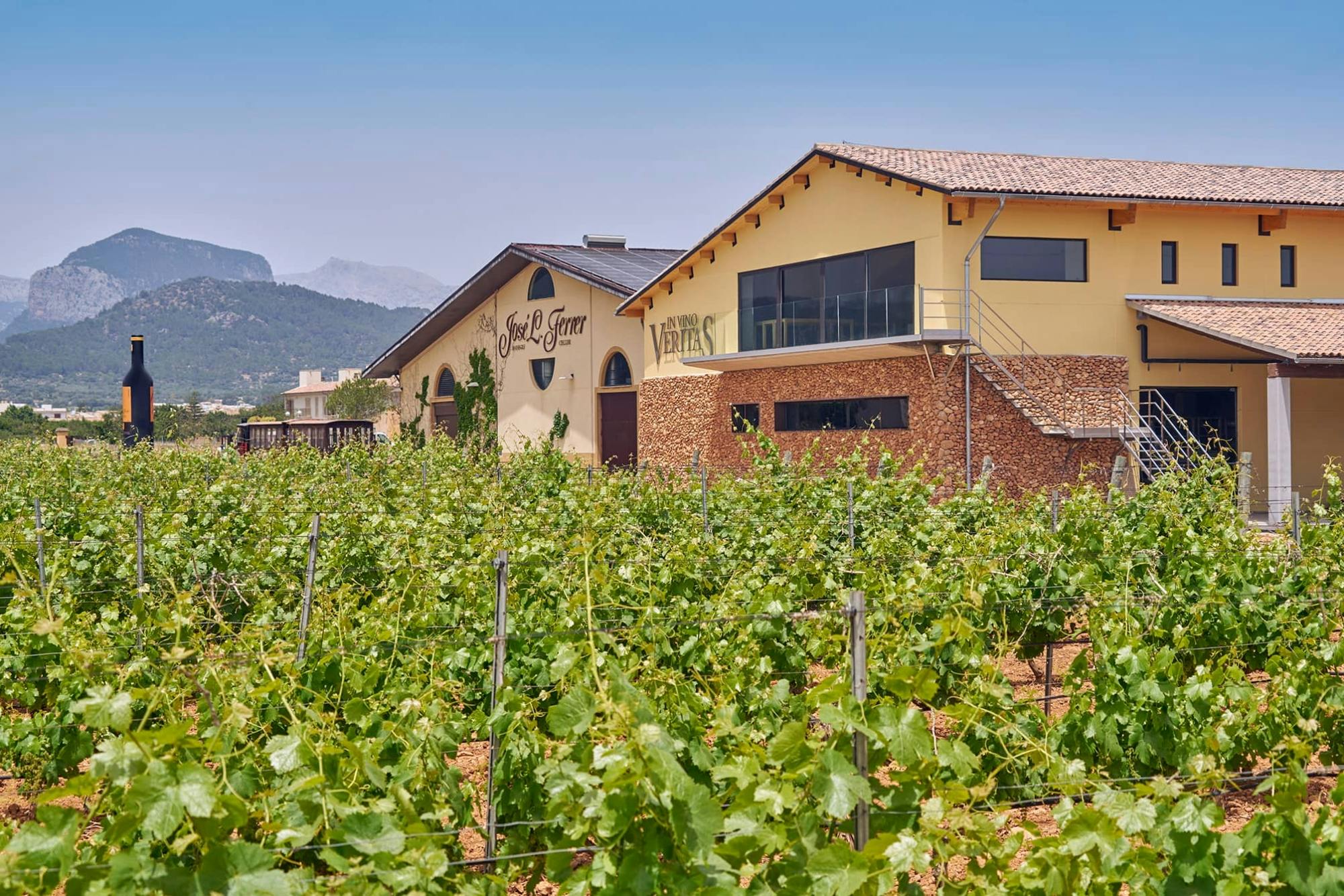 Cata de vinos Bodega Jose L Ferrer