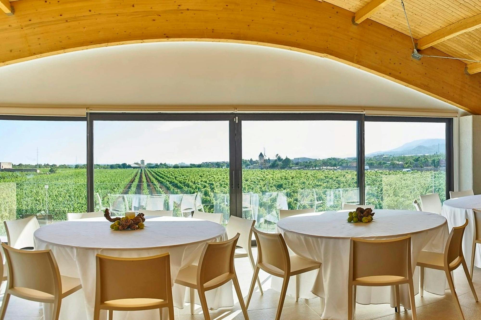 Bodega Jose L Ferrer Wine Tasting Tour