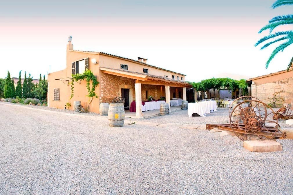 Bodega Jose L Ferrer Wine Tasting Tour